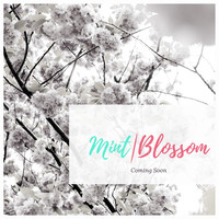 Mint|Blossom Events logo, Mint|Blossom Events contact details