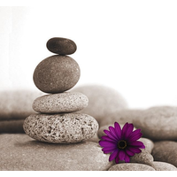 Balanced Life Coaching logo, Balanced Life Coaching contact details