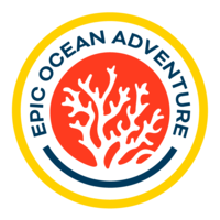 Epic Ocean Adventure logo, Epic Ocean Adventure contact details