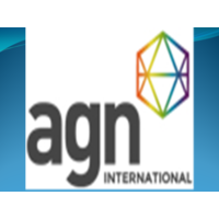 Mohamed Adel Nassef & Co. Certified Accountants &Consultants (Member firm of AGN International) logo, Mohamed Adel Nassef & Co. Certified Accountants &Consultants (Member firm of AGN International) contact details