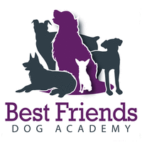 Best Friends Dog Academy, LLC logo, Best Friends Dog Academy, LLC contact details