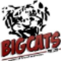 Bigcats Private Limited logo, Bigcats Private Limited contact details