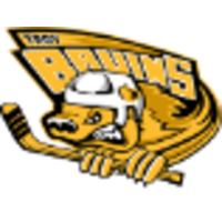 Troy Bruins Hockey Club logo, Troy Bruins Hockey Club contact details