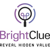 BrightClue logo, BrightClue contact details