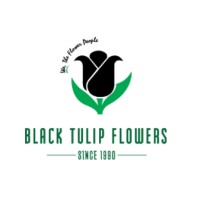 Black Tulip Infotech Private Limited logo, Black Tulip Infotech Private Limited contact details