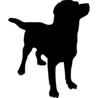 Dogged logo, Dogged contact details