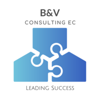 B&V Consulting EC logo, B&V Consulting EC contact details