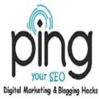 PingYourSeo logo, PingYourSeo contact details