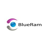 Blueram Information Technologies Limited Company logo, Blueram Information Technologies Limited Company contact details