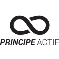 PRINCIPE ACTIF logo, PRINCIPE ACTIF contact details