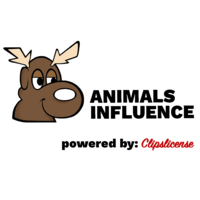 ANIMALS INFLUENCE logo, ANIMALS INFLUENCE contact details