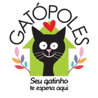 Gatópoles logo, Gatópoles contact details