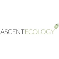 Ascent Ecology | Environmental Consultancy logo, Ascent Ecology | Environmental Consultancy contact details