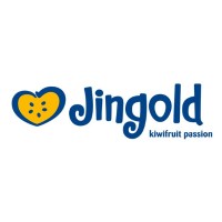 Jingold s.p.a. logo, Jingold s.p.a. contact details