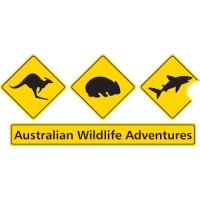 Australian Wildlife Adventures logo, Australian Wildlife Adventures contact details