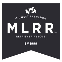 Midwest Labrador Retriever Rescue, Inc. logo, Midwest Labrador Retriever Rescue, Inc. contact details