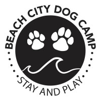 Beach City Dog Camp logo, Beach City Dog Camp contact details