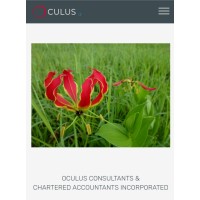 Oculus Consultants & Chartered Accountants Inc logo, Oculus Consultants & Chartered Accountants Inc contact details