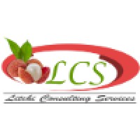 Litchi Consulting Services Pvt Ltd logo, Litchi Consulting Services Pvt Ltd contact details