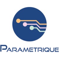 Parametrique Electronic Solutions Pvt. Ltd logo, Parametrique Electronic Solutions Pvt. Ltd contact details