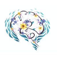 Blossoming Minds Therapy logo, Blossoming Minds Therapy contact details