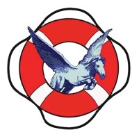 Pegasus Shipping Services logo, Pegasus Shipping Services contact details