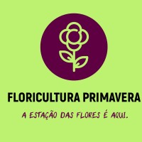 Floricultura primavera logo, Floricultura primavera contact details