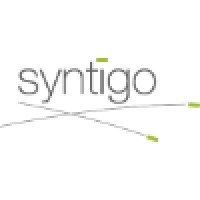 Syntigo logo, Syntigo contact details