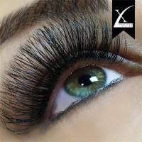 Live Love Lash - Lash Studio and Xtreme Lashes Academy of Lash Artistry logo, Live Love Lash - Lash Studio and Xtreme Lashes Academy of Lash Artistry contact details