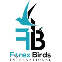 Forex Birds logo, Forex Birds contact details