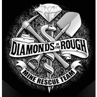 Diamonds in the Rough Emergency Rescue Organization, Inc. logo, Diamonds in the Rough Emergency Rescue Organization, Inc. contact details