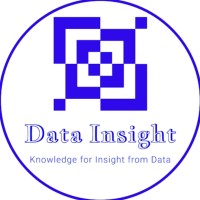 Data Insight logo, Data Insight contact details