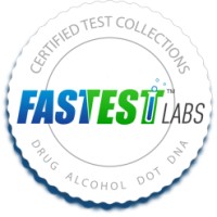 Fastest Labs of Reston logo, Fastest Labs of Reston contact details