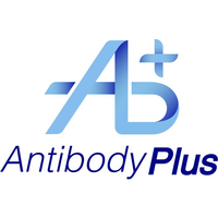 Antibodyplus logo, Antibodyplus contact details