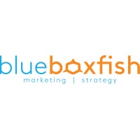 Blueboxfish logo, Blueboxfish contact details