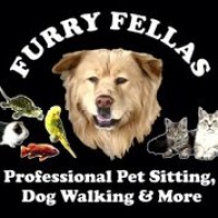 Furry Fellas LLC -Dog Walking & Pet Sitting logo, Furry Fellas LLC -Dog Walking & Pet Sitting contact details