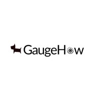 GaugeHow logo, GaugeHow contact details