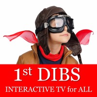 1st DIBS logo, 1st DIBS contact details