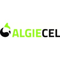 Algiecel logo, Algiecel contact details