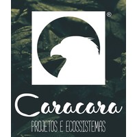 Caracara - Projetos e Ecossistemas logo, Caracara - Projetos e Ecossistemas contact details