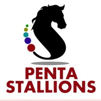 Pentastallion Software Solutions (Penta Stallion Media Entertainment LLP) logo, Pentastallion Software Solutions (Penta Stallion Media Entertainment LLP) contact details