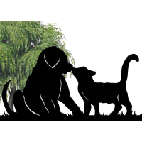 Wandering Willows Kennels and Cattery logo, Wandering Willows Kennels and Cattery contact details