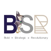 BSR Consulting, LLC logo, BSR Consulting, LLC contact details