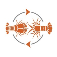 ARC Research Hub for Sustainable Onshore Lobster Aquaculture logo, ARC Research Hub for Sustainable Onshore Lobster Aquaculture contact details