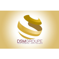 DSM Groupe logo, DSM Groupe contact details