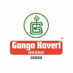 Ganga Kaveri Seed Pvt Ltd logo, Ganga Kaveri Seed Pvt Ltd contact details