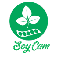 Soybeans Cameroon logo, Soybeans Cameroon contact details