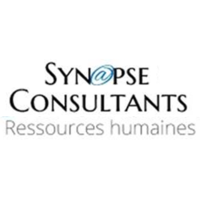 Synapse Consultants logo, Synapse Consultants contact details