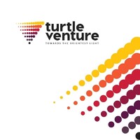 Turtle Venture logo, Turtle Venture contact details