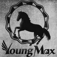 YoungMax Creations Ltd. logo, YoungMax Creations Ltd. contact details